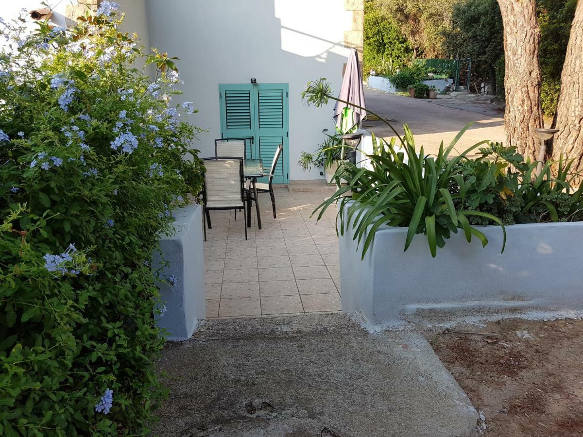 Apartamento Casa Prescilia Lumio  Exterior foto